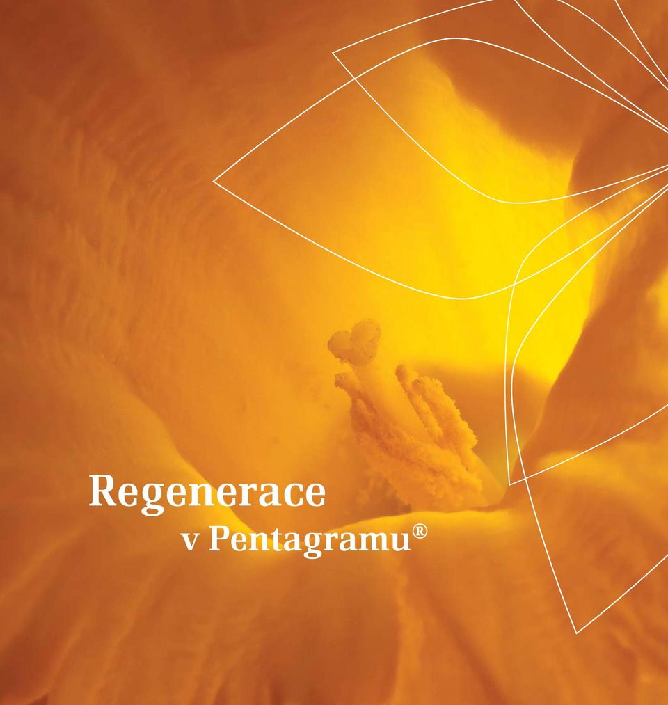 Regenerace