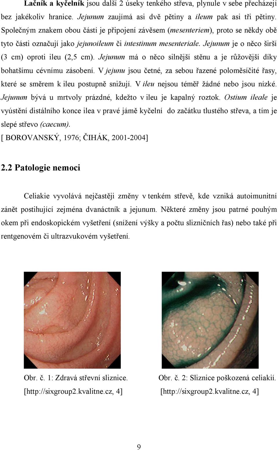 Jejunum má o něco silnější stěnu a je růžovější díky bohatšímu cévnímu zásobení. V jejunu jsou četné, za sebou řazené poloměsíčité řasy, které se směrem k ileu postupně snižují.