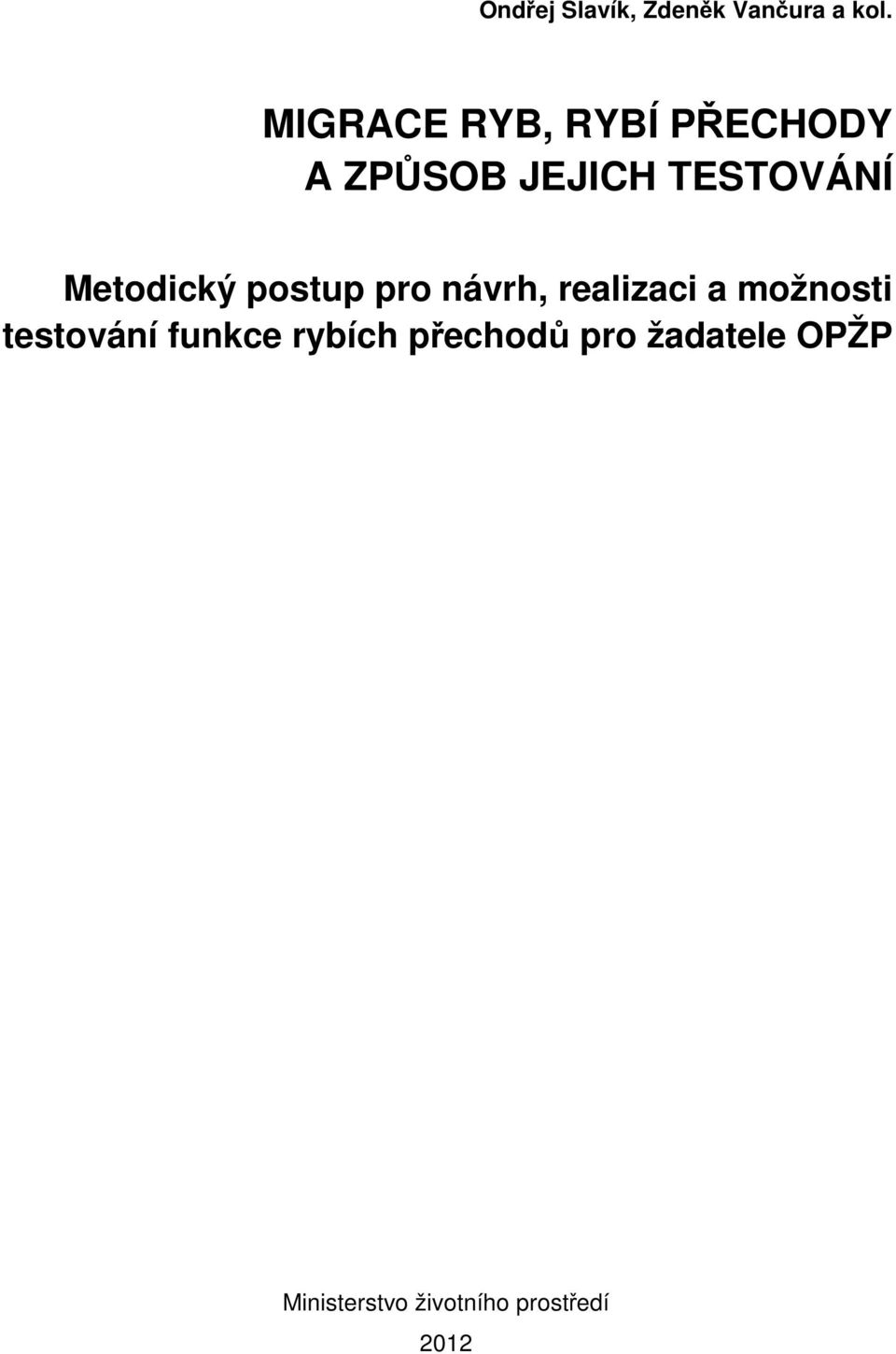 Metodický postup pro návrh, realizaci a možnosti