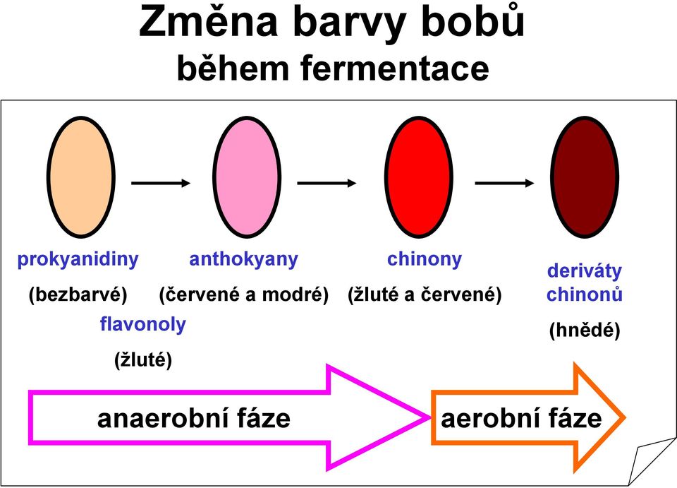 modré) flavonoly (žluté) chinony (žluté a