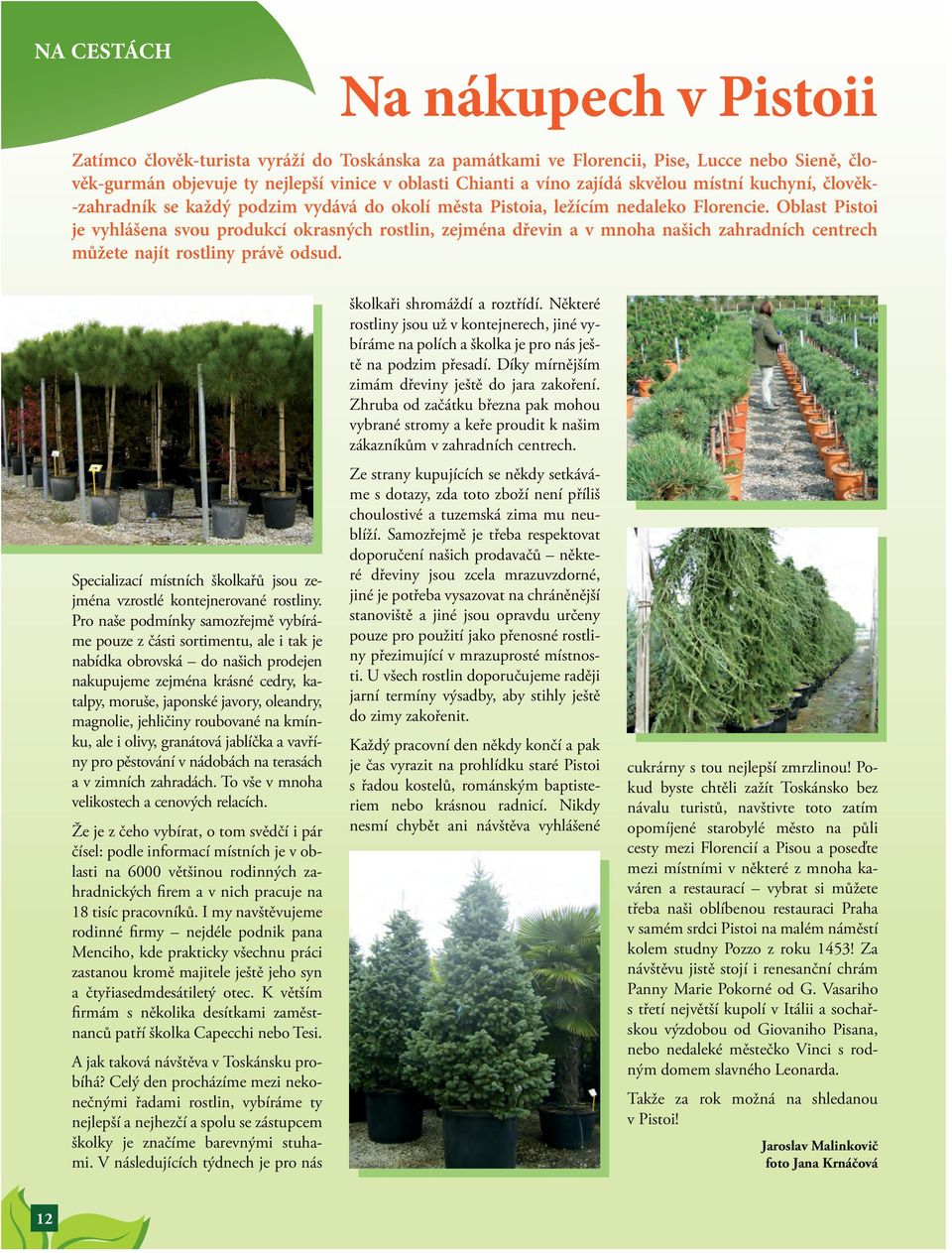 Oblast Pistoi je vyhlášena svou produkcí okrasných rostlin, zejména dřevin a v mnoha našich zahradních centrech můžete najít rostliny právě odsud.
