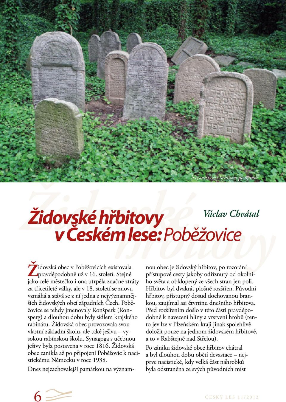 Poběžovice se tehdy jmenovaly Ronšperk (Ronsperg) a dlouhou dobu byly sídlem krajského rabinátu. Židovská obec provozovala svou vlastní základní školu, ale také ješivu vysokou rabínskou školu.