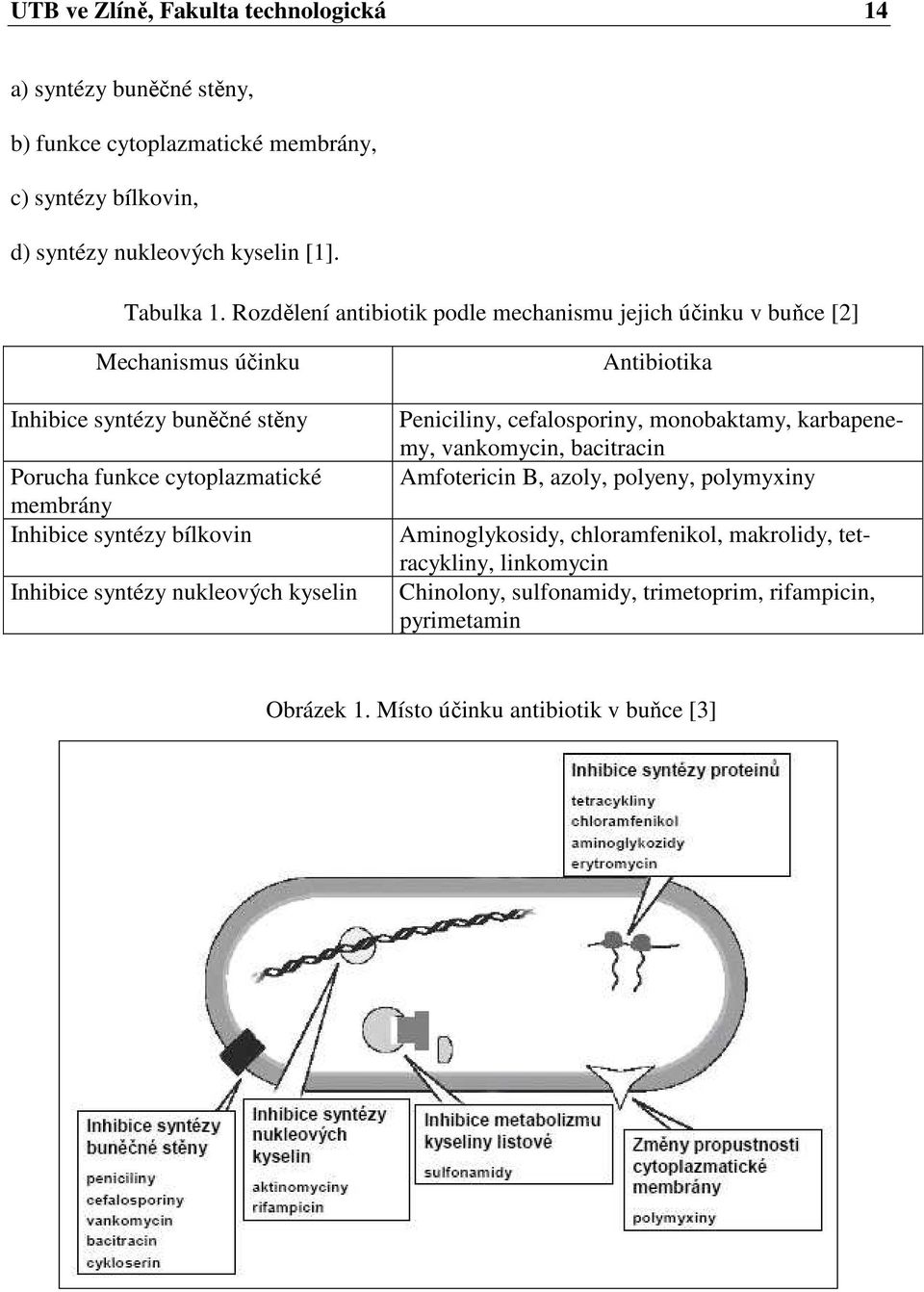 bílkovin Inhibice syntézy nukleových kyselin Antibiotika Peniciliny, cefalosporiny, monobaktamy, karbapenemy, vankomycin, bacitracin Amfotericin B, azoly, polyeny,