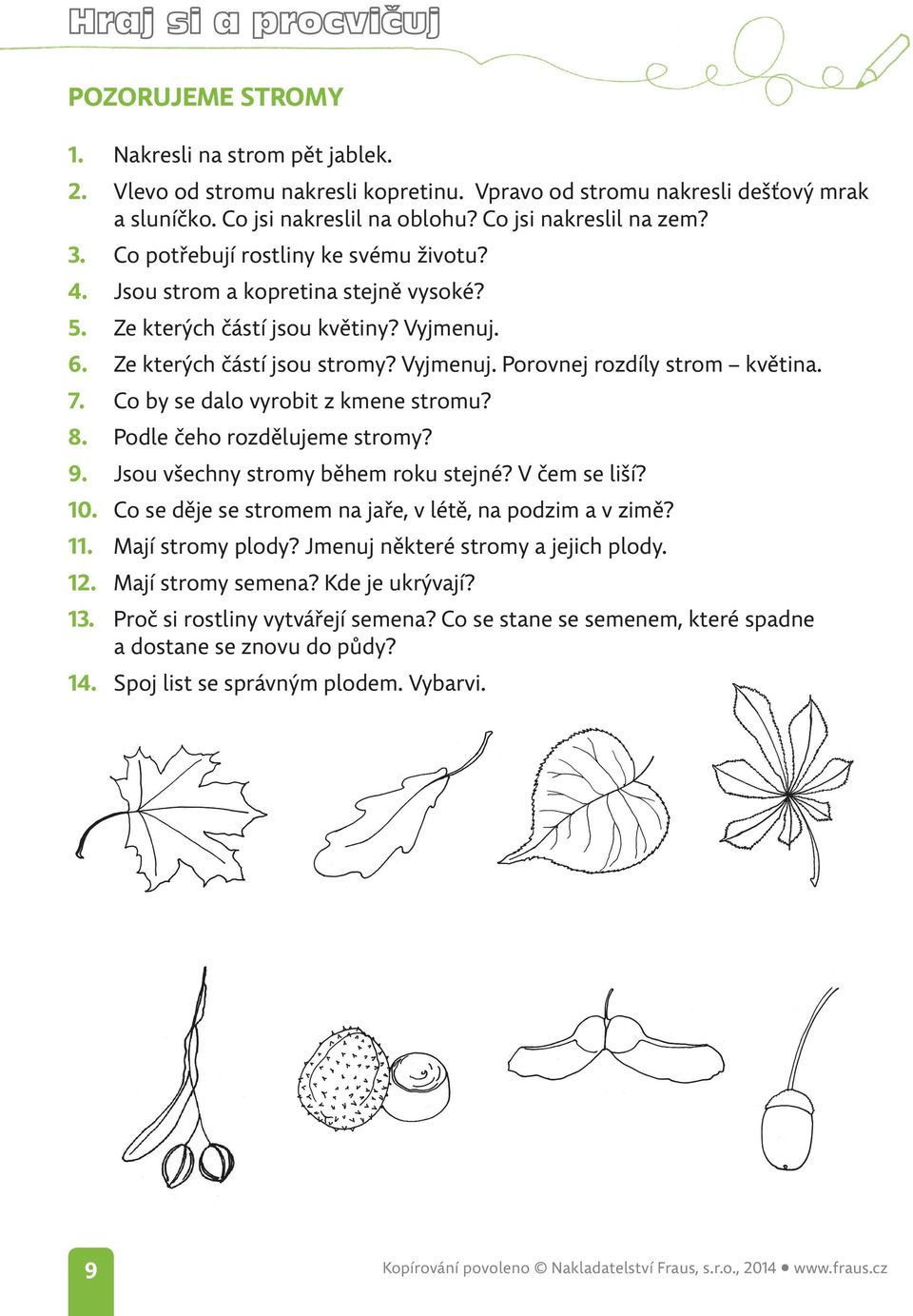 7. Co by se dalo vyrobit z kmene stromu? 8. Podle čeho rozdělujeme stromy? 9. Jsou všechny stromy během roku stejné? V čem se liší? 10. Co se děje se stromem na jaře, v létě, na podzim a v zimě? 11.