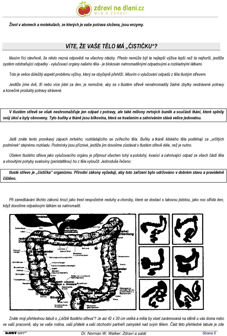 Toto je velice důležitý aspekt problému výživy, který se obyčejně přehlíží. Mluvím o vylučování odpadů z těla tlustým střevem.