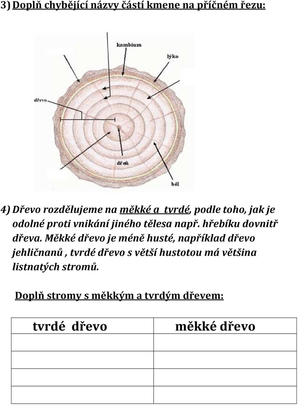 hřebíku dovnitř dřeva.