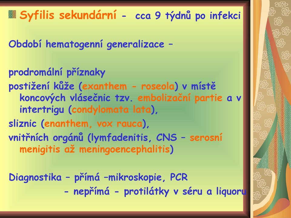 embolizační partie a v intertrigu (condylomata lata), sliznic (enanthem, vox rauca), vnitřních