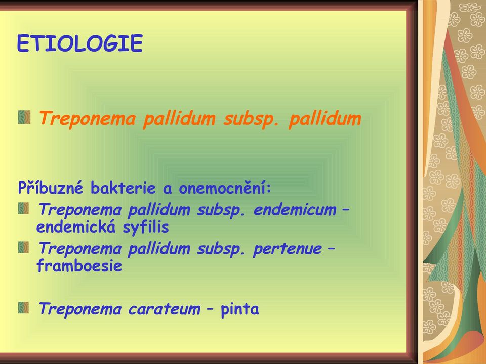 pallidum subsp.