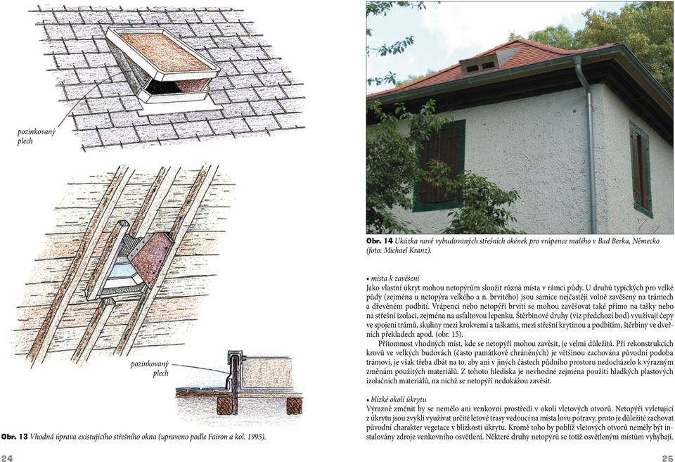 U druhů typických pro velké půdy (zejména u netopýra velkého a n. brvitého) jsou samice nejčastěji volně zavěšeny na trámech a dřevěném podbití.