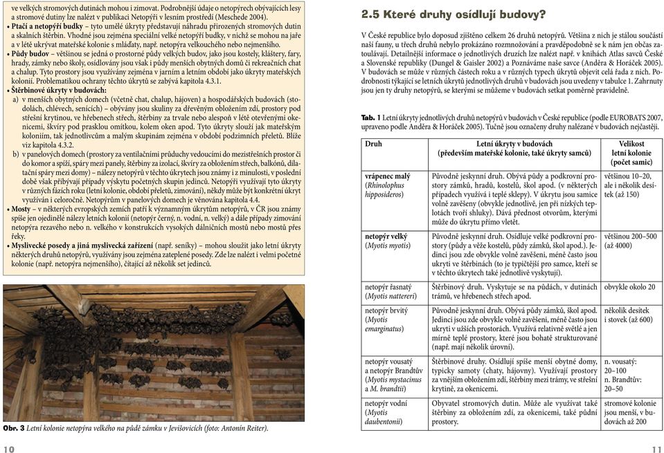 Vhodné jsou zejména speciální velké netopýří budky, v nichž se mohou na jaře a v létě ukrývat mateřské kolonie s mláďaty, např. netopýra velkouchého nebo nejmenšího.