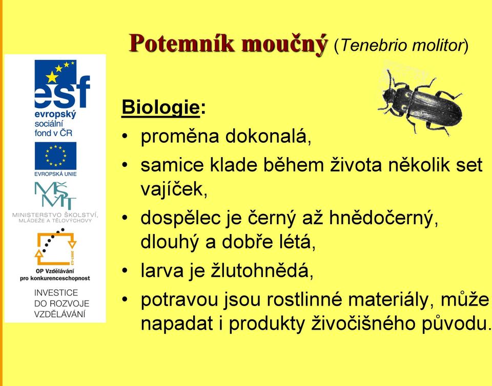 až hnědočerný, dlouhý a dobře létá, larva je žlutohnědá, potravou