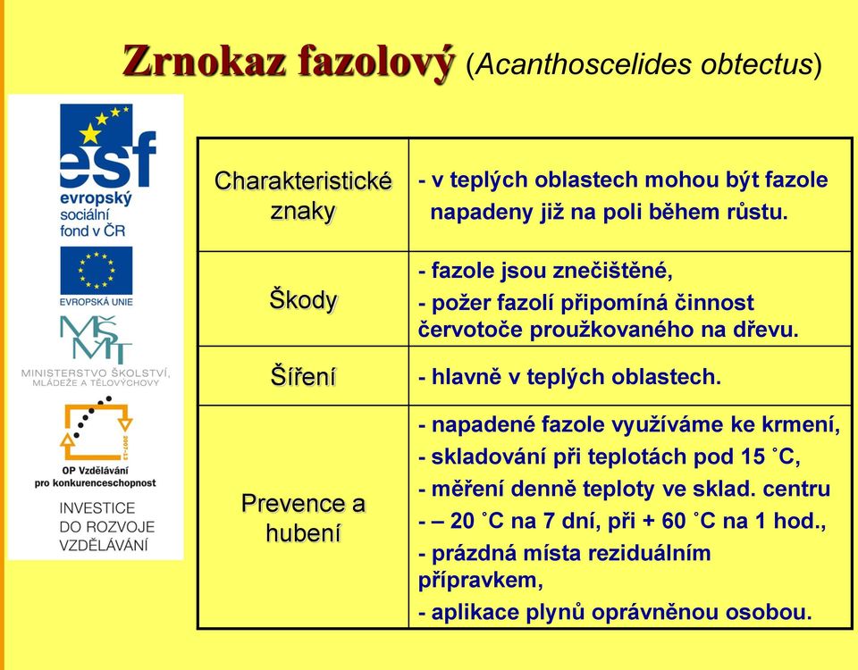 - fazole jsou znečištěné, - požer fazolí připomíná činnost červotoče proužkovaného na dřevu. - hlavně v teplých oblastech.