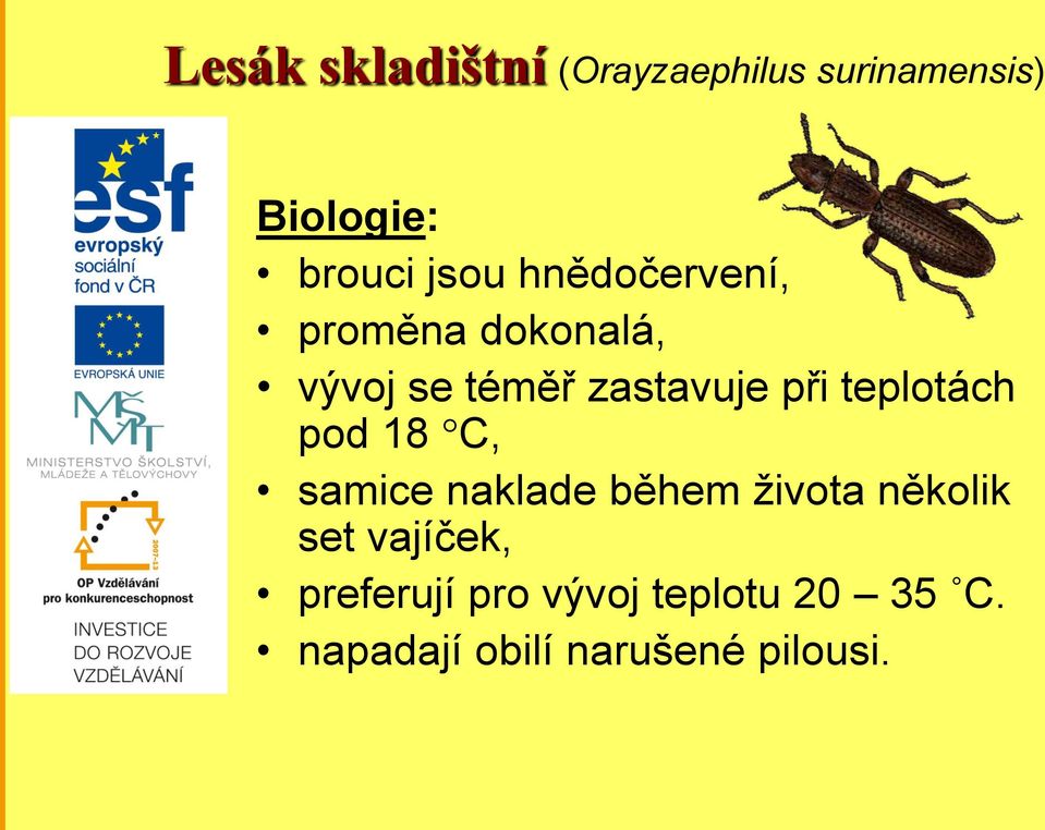 teplotách pod 18 C, samice naklade během života několik set