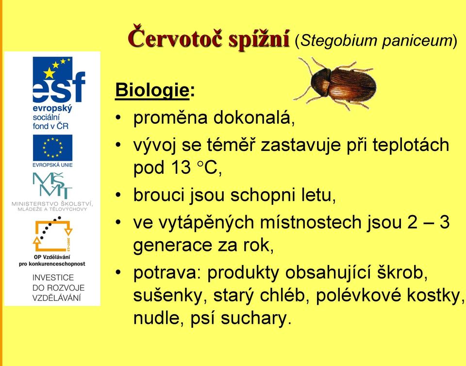 vytápěných místnostech jsou 2 3 generace za rok, potrava: produkty