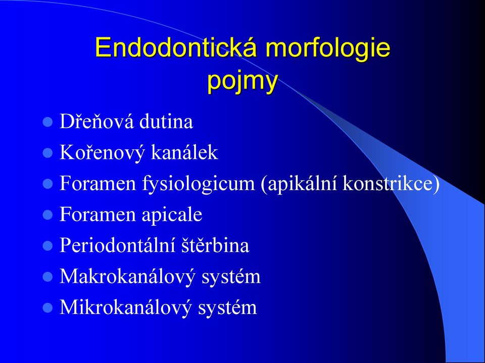 (apikální konstrikce) Foramen apicale