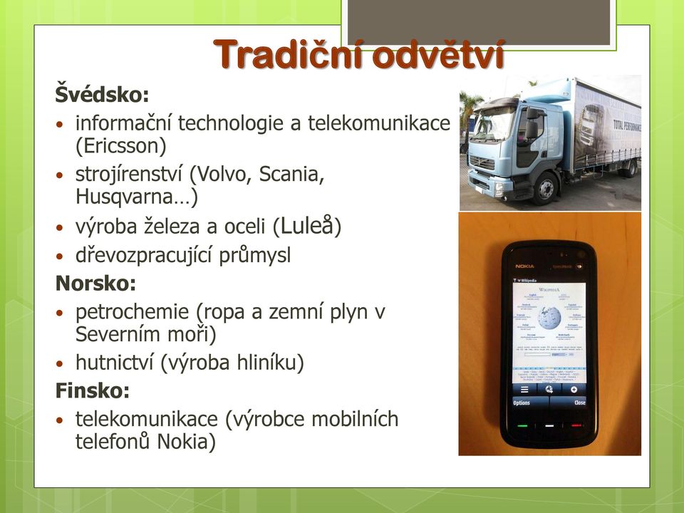 dřevozpracující průmysl Norsko: petrochemie (ropa a zemní plyn v Severním