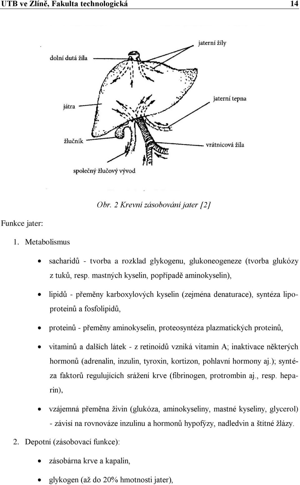 plazmatických proteinů, vitaminů a dalších látek - z retinoidů vzniká vitamin A; inaktivace některých hormonů (adrenalin, inzulin, tyroxin, kortizon, pohlavní hormony aj.