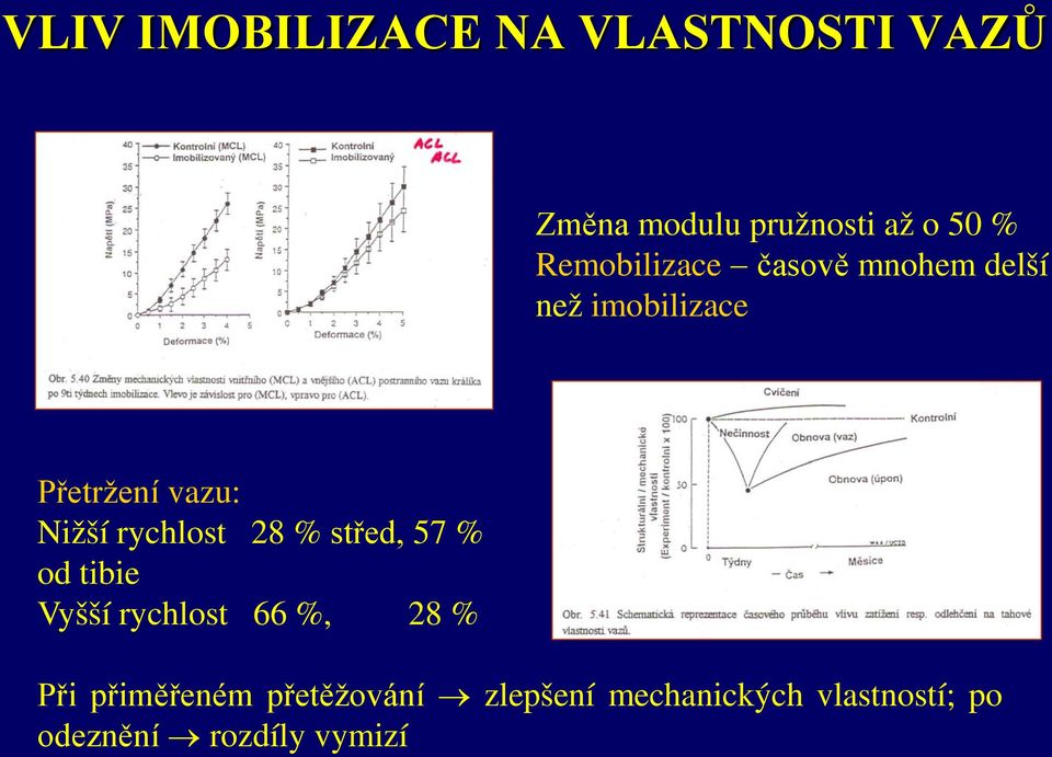 rychlost 28 % střed, 57 % od tibie Vyšší rychlost 66 %, 28 % Při