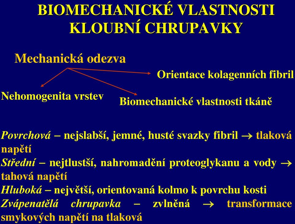 tlaková napětí Střední nejtlustší, nahromadění proteoglykanu a vody tahová napětí Hluboká