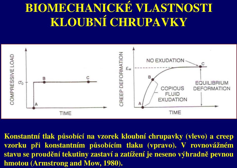 působícím tlaku (vpravo).