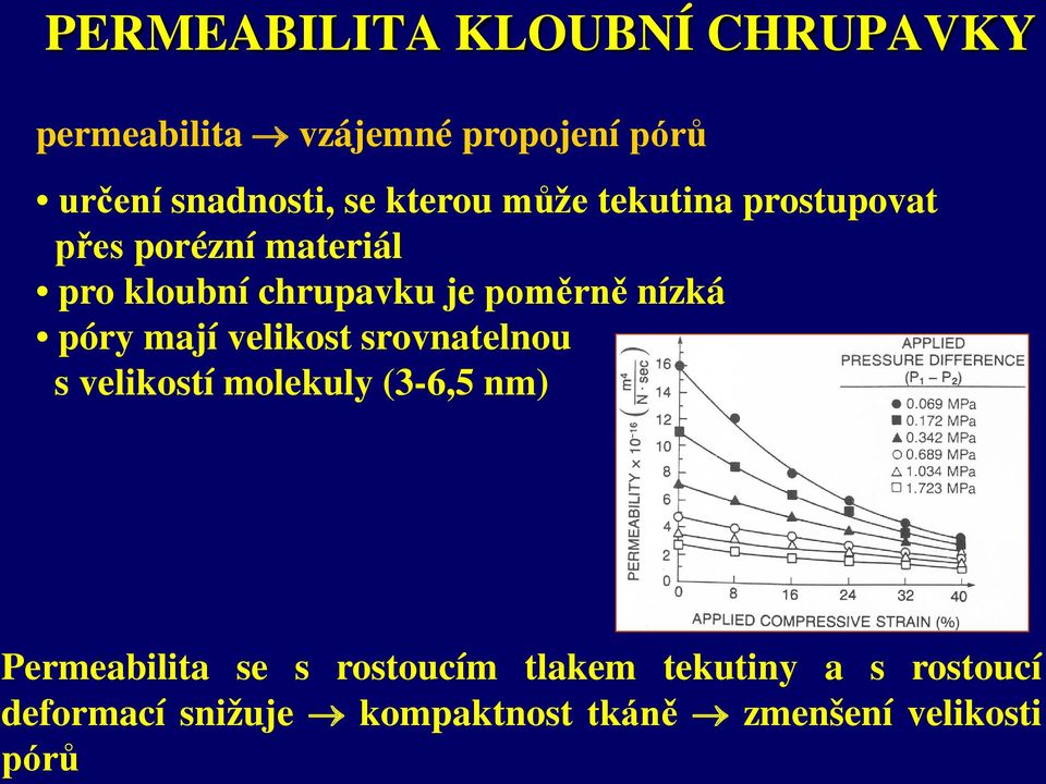 nízká póry mají velikost srovnatelnou s velikostí molekuly (3-6,5 nm) Permeabilita se s