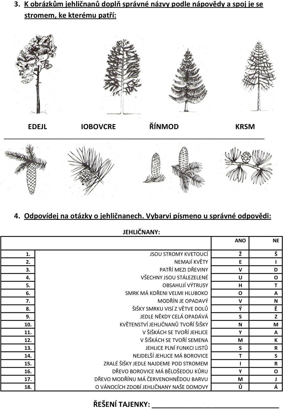 SMRK MÁ KOŘENI VELMI HLUBOKO O A 7. MODŘÍN JE OPADAVÝ V N 8. ŠIŠKY SMRKU VISÍ Z VĚTVE DOLŮ Ý Ě 9. JEDLE NĚKDY CELÁ OPADÁVÁ S Z 10. KVĚTENSTVÍ JEHLIČNANŮ TVOŘÍ ŠIŠKY N M 11.
