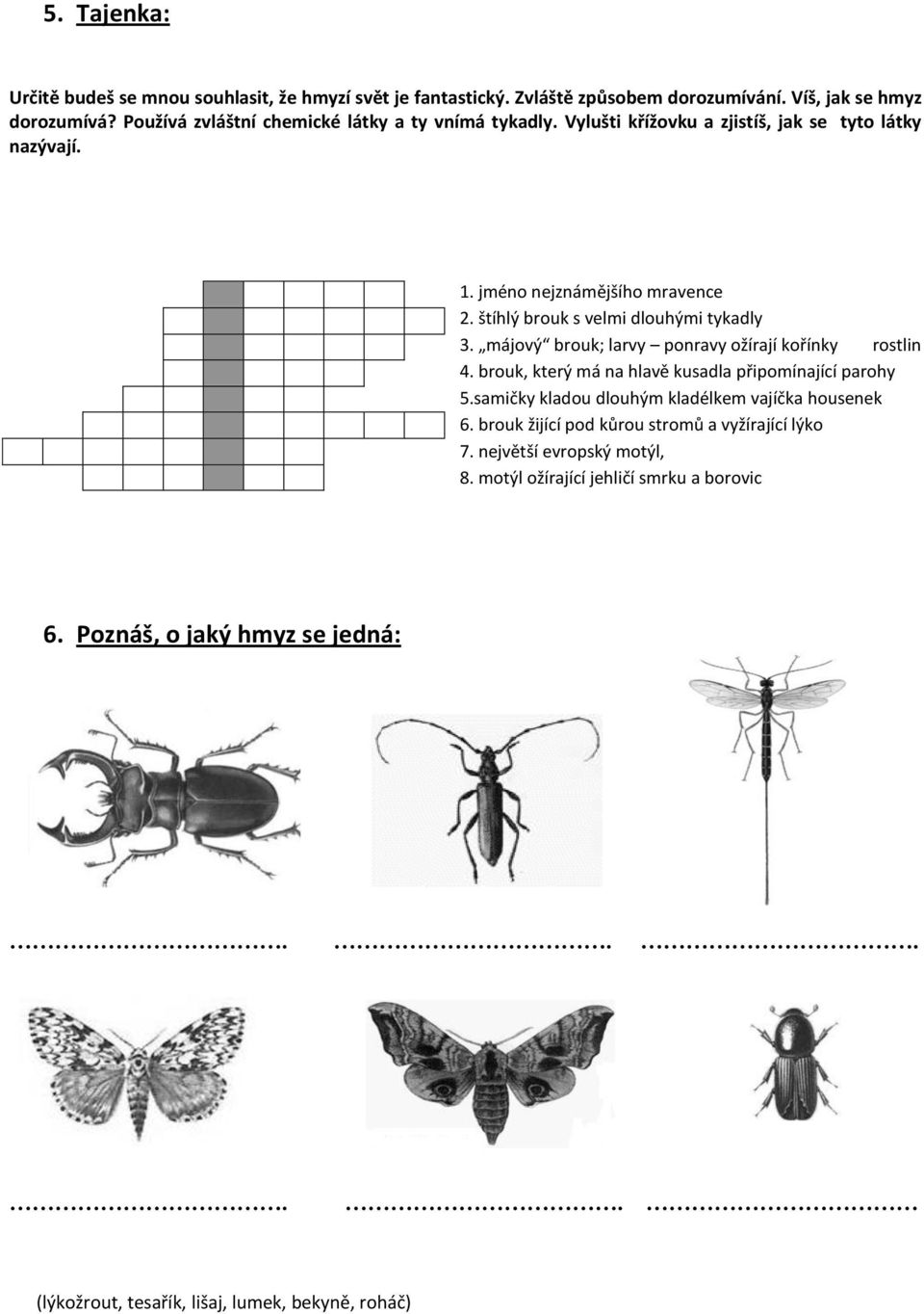štíhlý brouk s velmi dlouhými tykadly 3. májový brouk; larvy ponravy ožírají kořínky rostlin 4. brouk, který má na hlavě kusadla připomínající parohy 5.