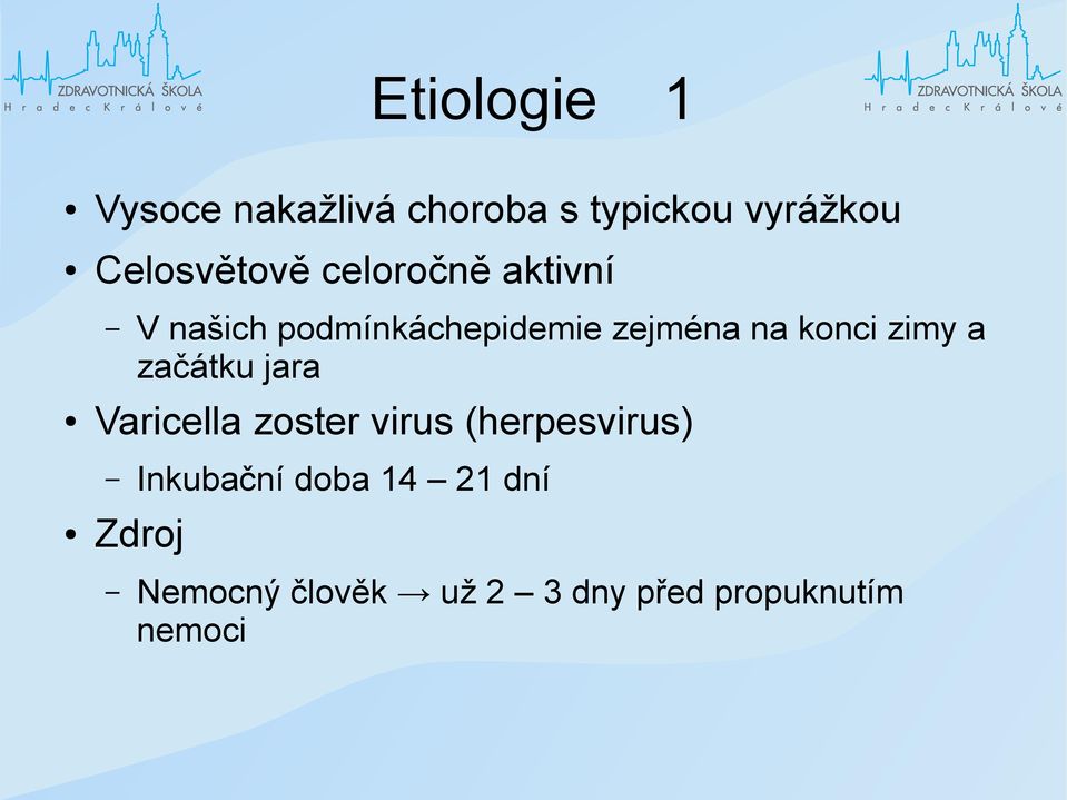 na konci zimy a začátku jara Varicella zoster virus (herpesvirus)