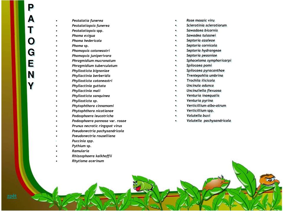 mali Phyllosticta sanquinea Phyllosticta sp. Phytophthora cinnamomi Phytophthora nicotianae Podosphaera leucotricha Podosphaera pannosa var.