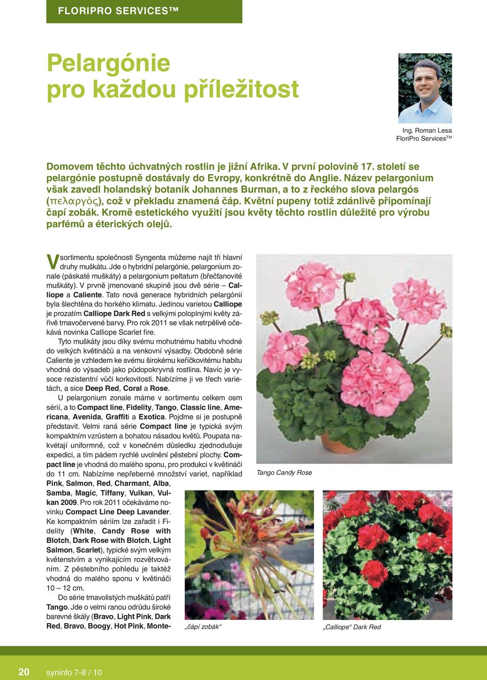 Název pelargonium však zavedl holandský botanik Johannes Burman, a to z řeckého slova pelargós (ϖελαργός), což v překladu znamená čáp. Květní pupeny totiž zdánlivě připomínají čapí zobák.