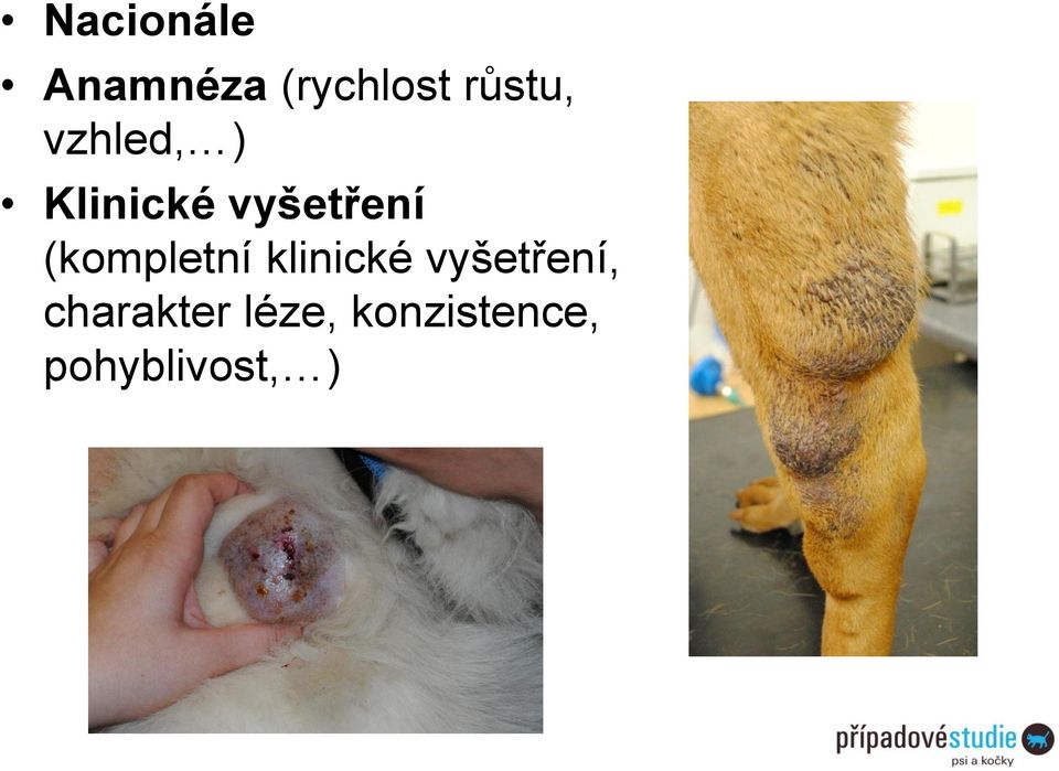 vyšetření (kompletní klinické