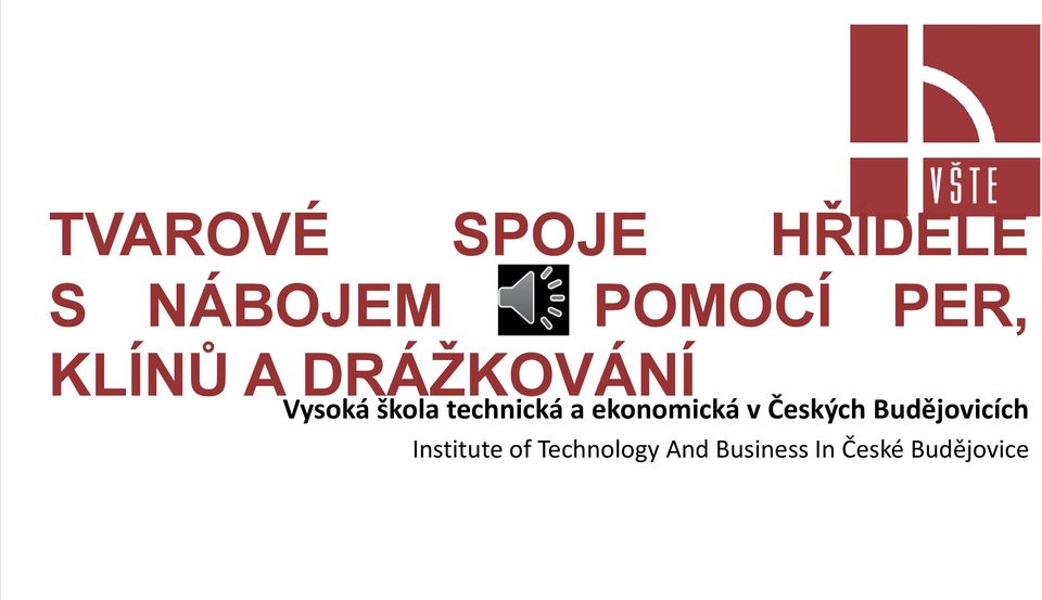 ekonomická v Českých Budějovicích Institute