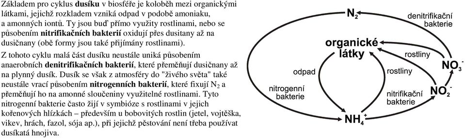 Z tohoto cyklu malá část dusíku neustále uniká působením anaerobních denitrifikačních bakterií, které přeměňují dusičnany až na plynný dusík.