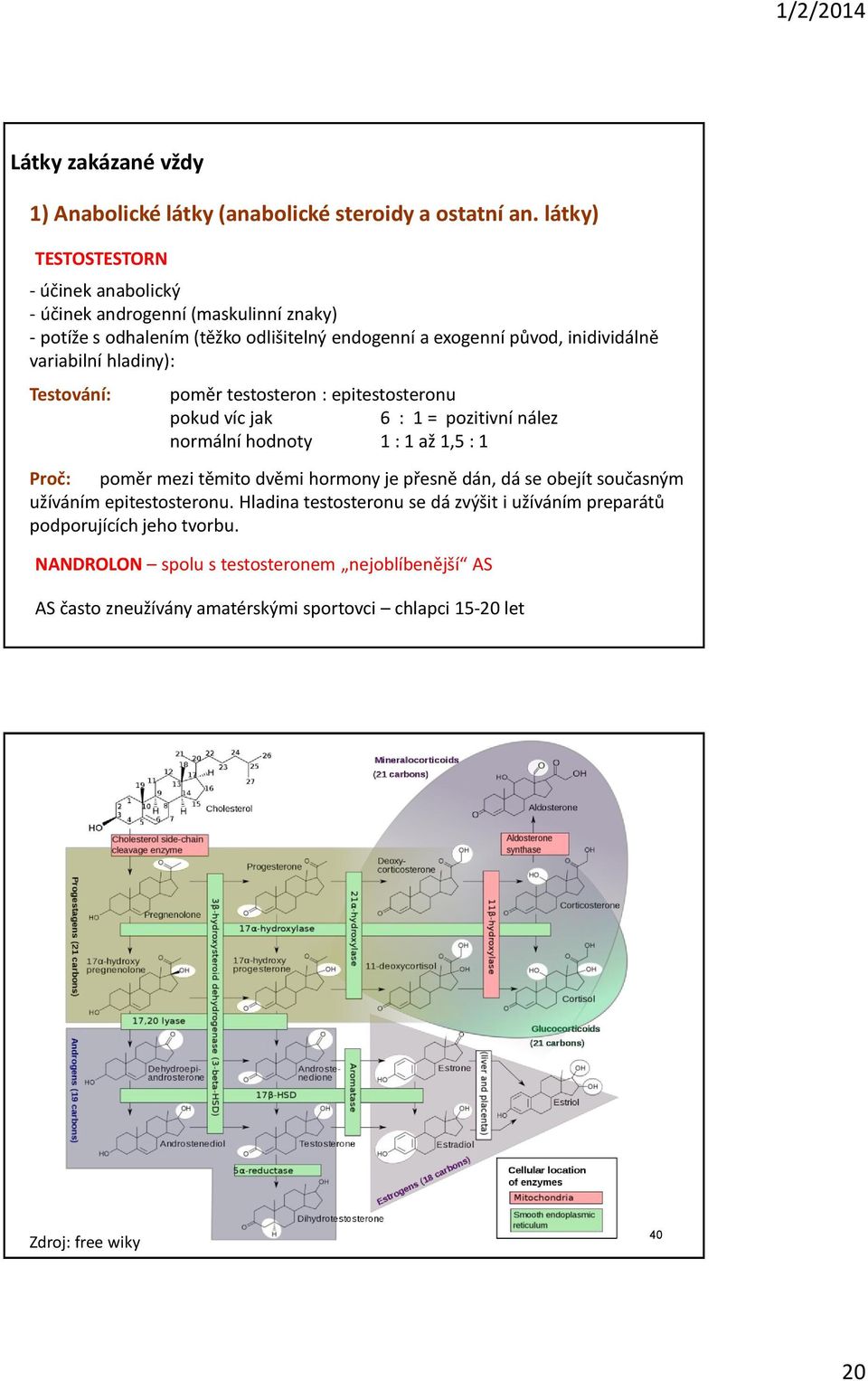 hladiny): Testování: poměr testosteron : epitestosteronu pokud víc jak 6 : 1 = pozitivní nález normální hodnoty 1 : 1 až 1,5 : 1 Proč: poměr mezi těmito dvěmi hormony je