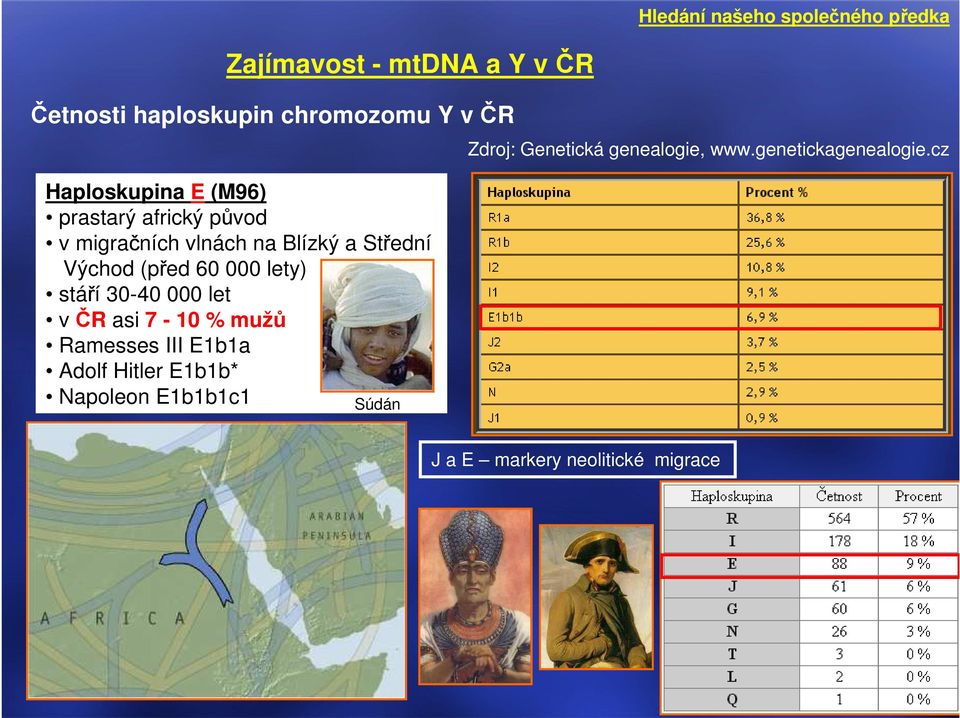 000 lety) stáří 30-40 000 let v ČR asi 7-10 % mužů Ramesses III E1b1a