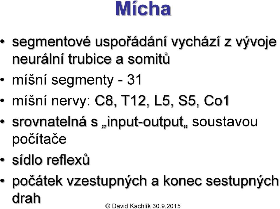 T12, L5, S5, Co1 srovnatelná s input-output soustavou