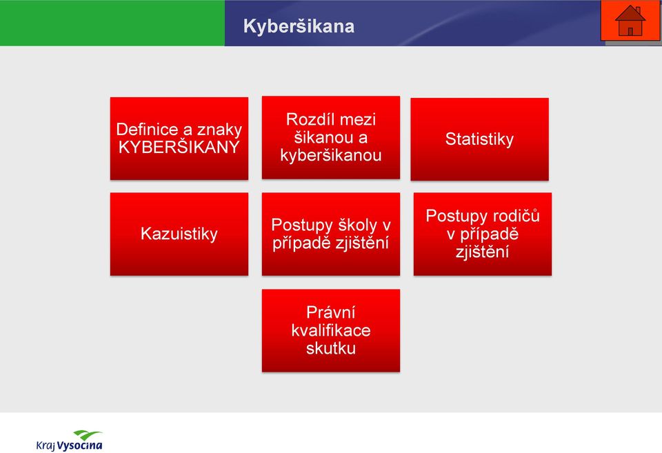 Kazuistiky Postupy školy v případě zjištění