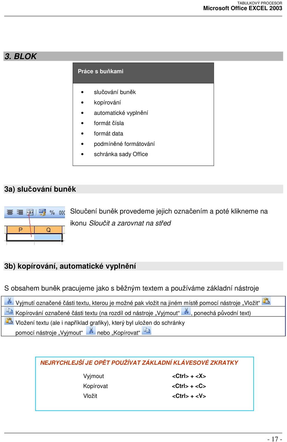 části textu, kterou je možné pak vložit na jiném místě pomocí nástroje Vložit Kopírování označené části textu (na rozdíl od nástroje Vyjmout, ponechá původní text) Vložení textu (ale i například