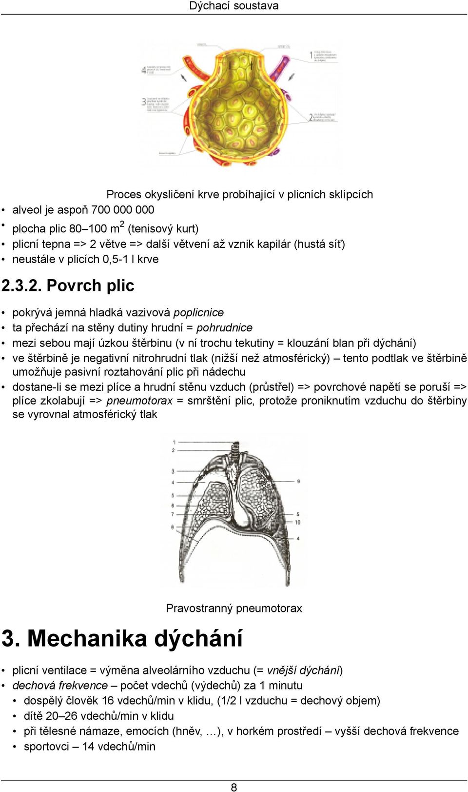 3.2. Povrch plic pokrývá jemná hladká vazivová poplicnice ta přechází na stěny dutiny hrudní = pohrudnice mezi sebou mají úzkou štěrbinu (v ní trochu tekutiny = klouzání blan při dýchání) ve štěrbině