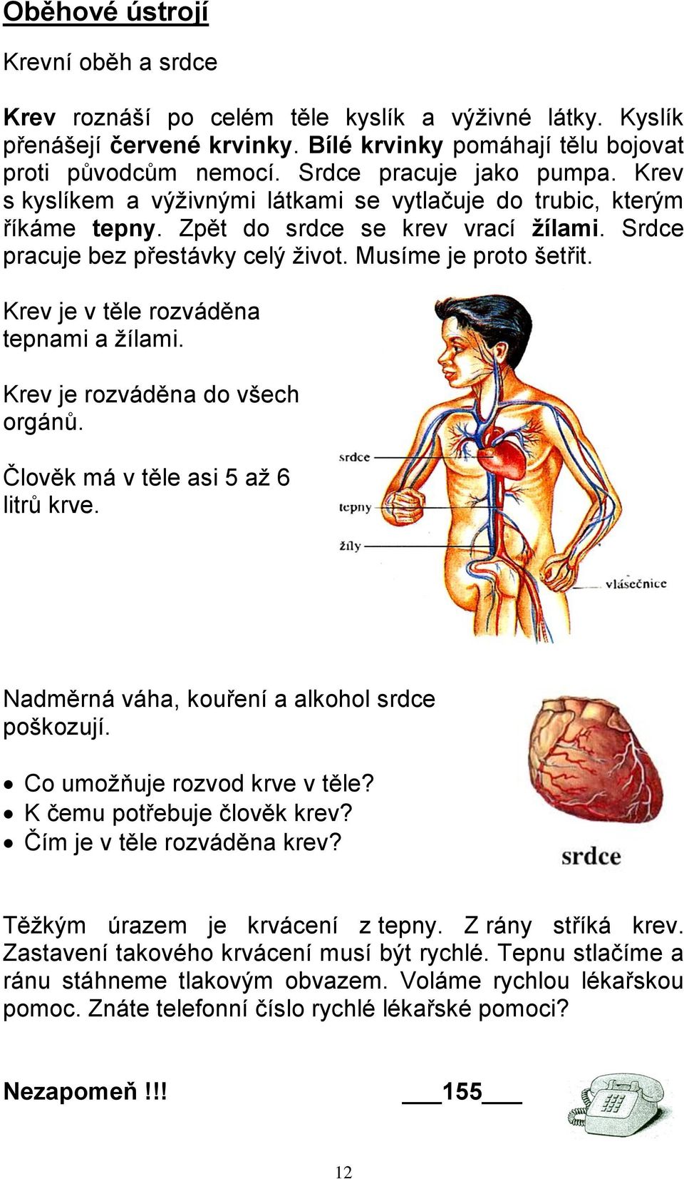 Musíme je proto šetřit. Krev je v těle rozváděna tepnami a žílami. Krev je rozváděna do všech orgánů. Člověk má v těle asi 5 až 6 litrů krve. Nadměrná váha, kouření a alkohol srdce poškozují.