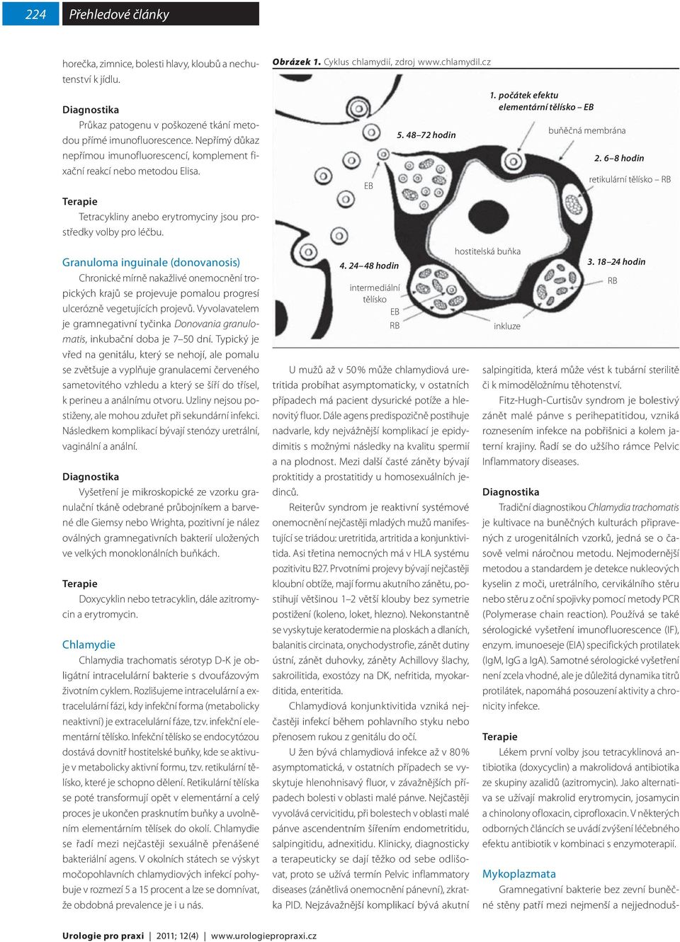 Granuloma inguinale (donovanosis) Chronické mírně nakažlivé onemocnění tropických krajů se projevuje pomalou progresí ulcerózně vegetujících projevů.