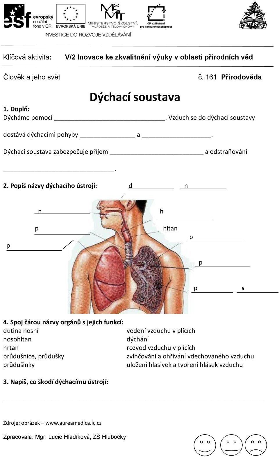 Spoj čárou názvy orgánů s jejich funkcí: dutina nosní nosohltan hrtan průdušnice, průdušky průdušinky vedení vzduchu v plících dýchání