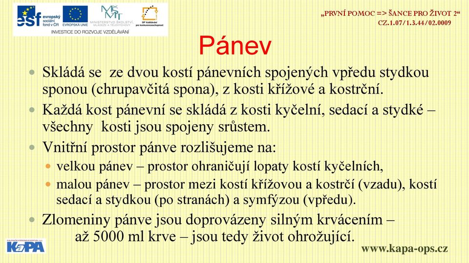 Vnitřní prostor pánve rozlišujeme na: velkou pánev prostor ohraničují lopaty kostí kyčelních, malou pánev prostor mezi kostí