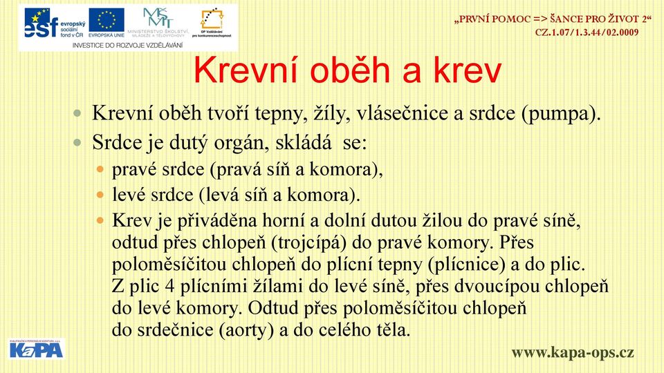 Krev je přiváděna horní a dolní dutou žilou do pravé síně, odtud přes chlopeň (trojcípá) do pravé komory.