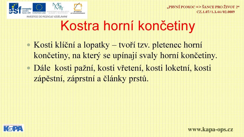 svaly horní končetiny.