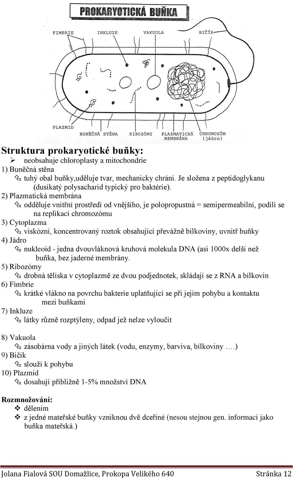 2) Plazmatická membrána odděluje vnitřní prostředí od vnějšího, je polopropustná = semipermeabilní, podílí se na replikaci chromozómu 3) Cytoplazma viskózní, koncentrovaný roztok obsahující převážně