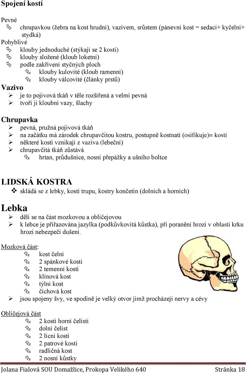 pružná pojivová tkáň na začátku má zárodek chrupavčitou kostru, postupně kostnatí (osifikuje)= kosti některé kosti vznikají z vaziva (lebeční) chrupavčitá tkáň zůstává hrtan, průdušnice, nosní