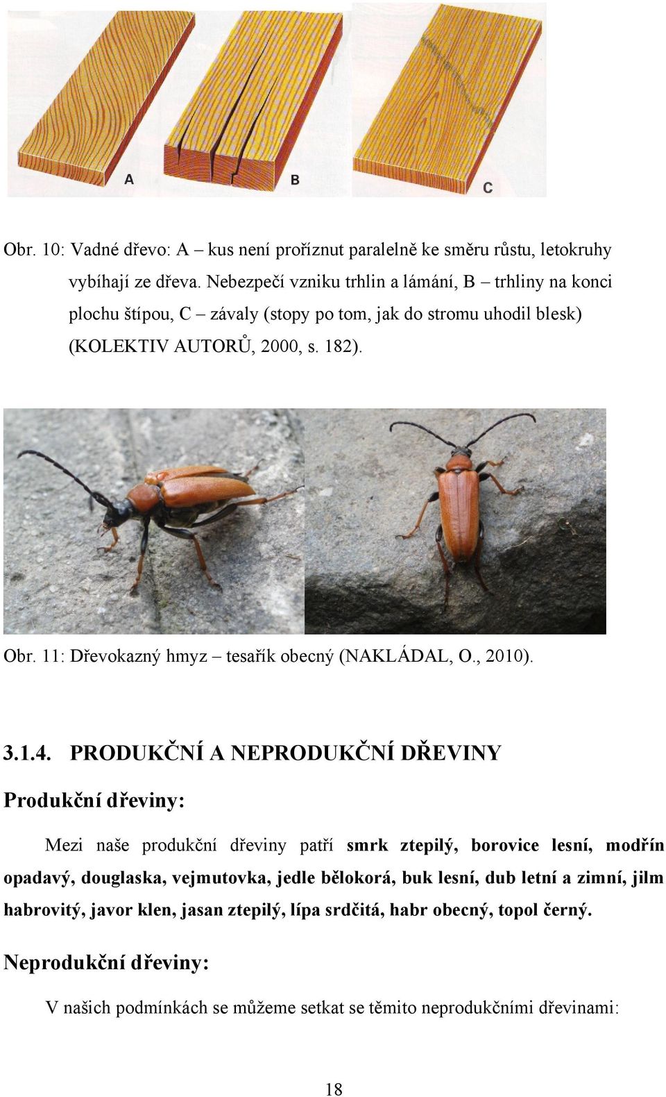 11: Dřevokazný hmyz tesařík obecný (NAKLÁDAL, O., 2010). 3.1.4.