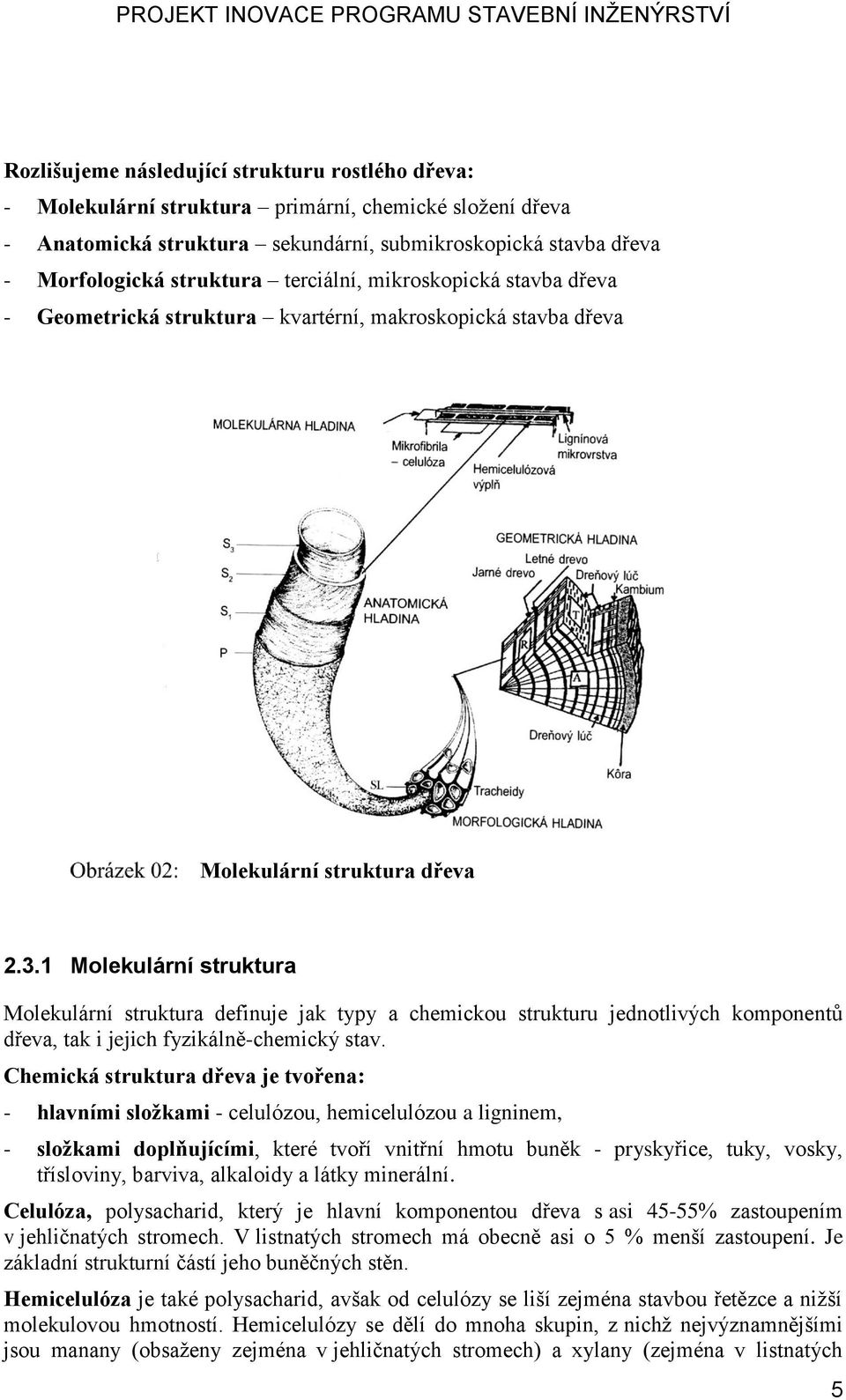 1 Molekulární struktura Molekulární struktura definuje jak typy a chemickou strukturu jednotlivých komponentů dřeva, tak i jejich fyzikálně-chemický stav.