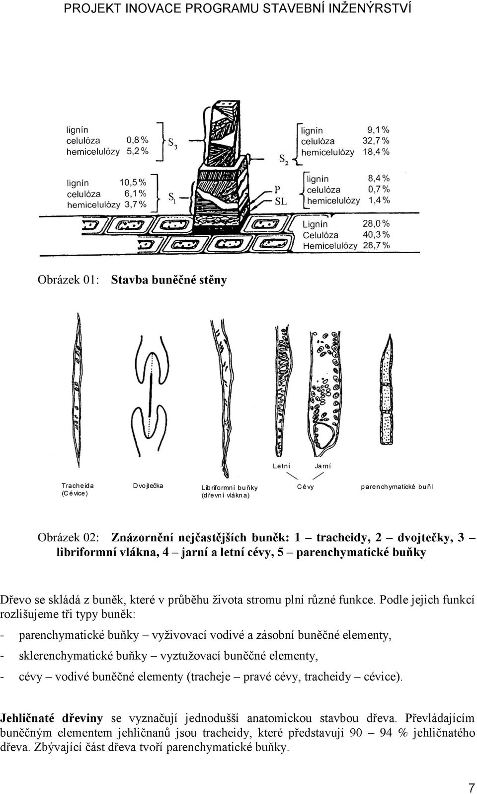 Podle jejich funkcí rozlišujeme tři typy buněk: - parenchymatické buňky vyživovací vodivé a zásobní buněčné elementy, - sklerenchymatické buňky vyztužovací buněčné elementy, - cévy vodivé buněčné